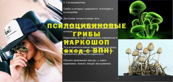 спайс Баксан